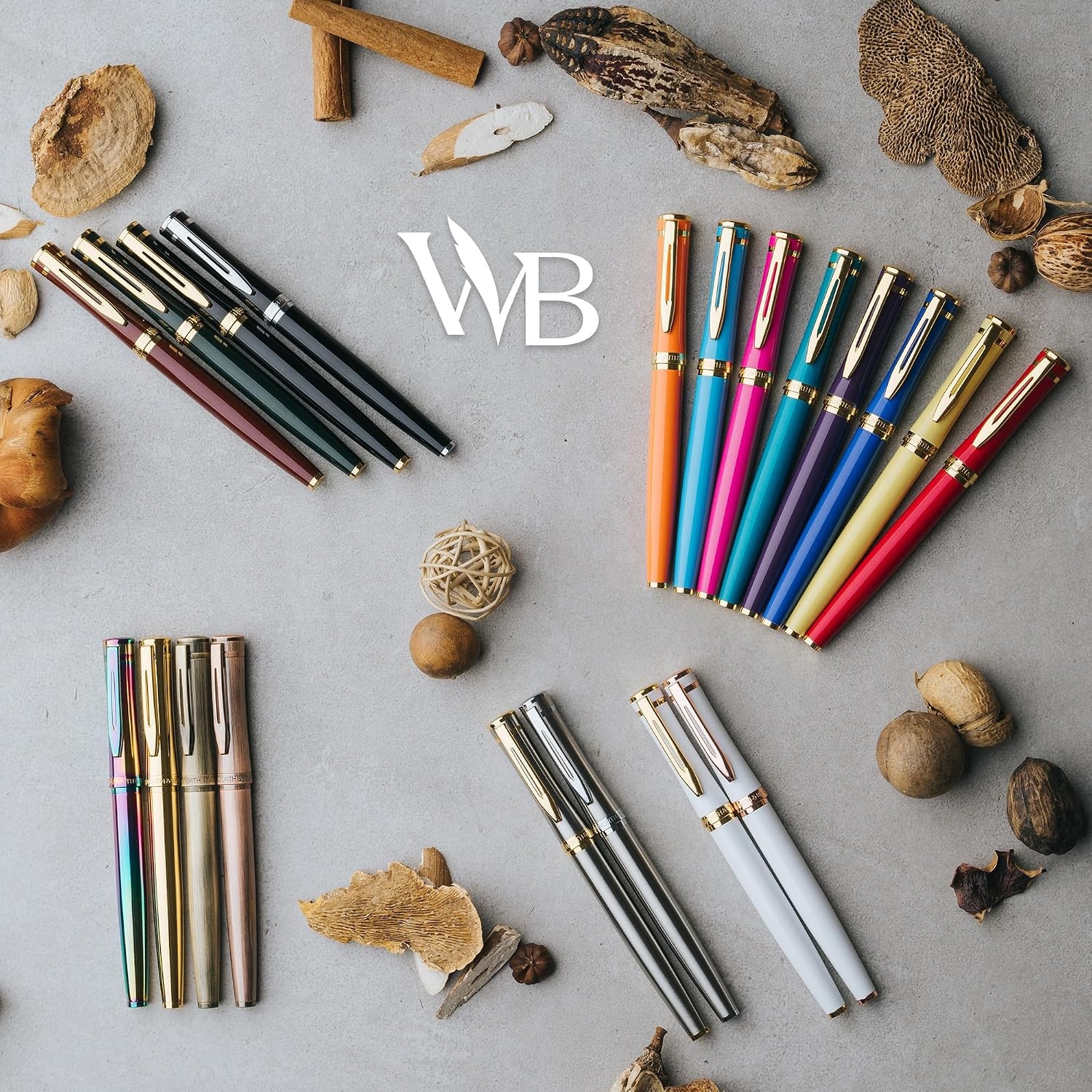 image:imageWordsworth amp Black Fountain Pen Set Medium Nib Includes 24 Ink Cartridges and Ink Refill Converter Gift Case Journaling Calligraphy Smooth Writing Pens Black Chrome Perfect for Men and WomenBlack Chrome