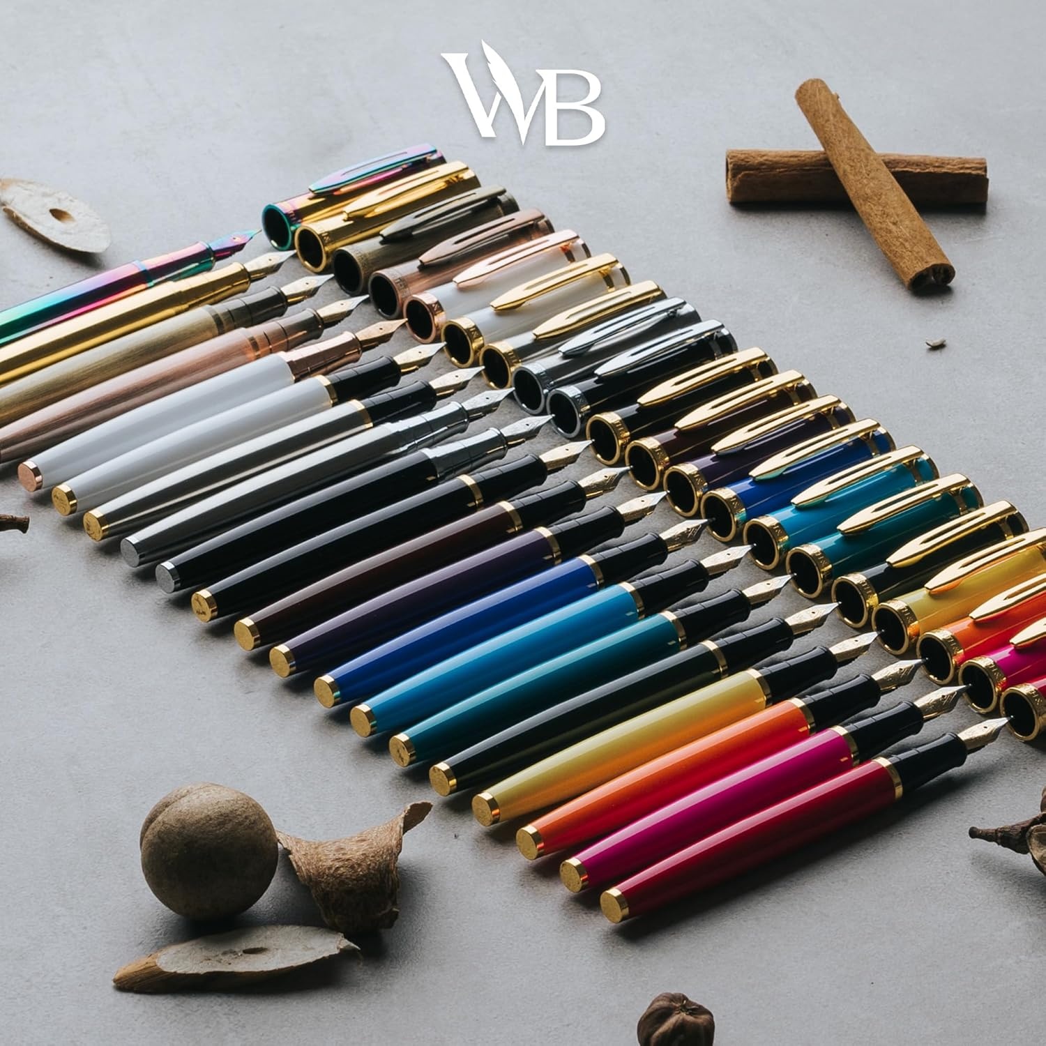 image:imageWordsworth amp Black Fountain Pen Set Medium Nib Includes 24 Ink Cartridges and Ink Refill Converter Gift Case Journaling Calligraphy Smooth Writing Pens Black Chrome Perfect for Men and WomenRainbow