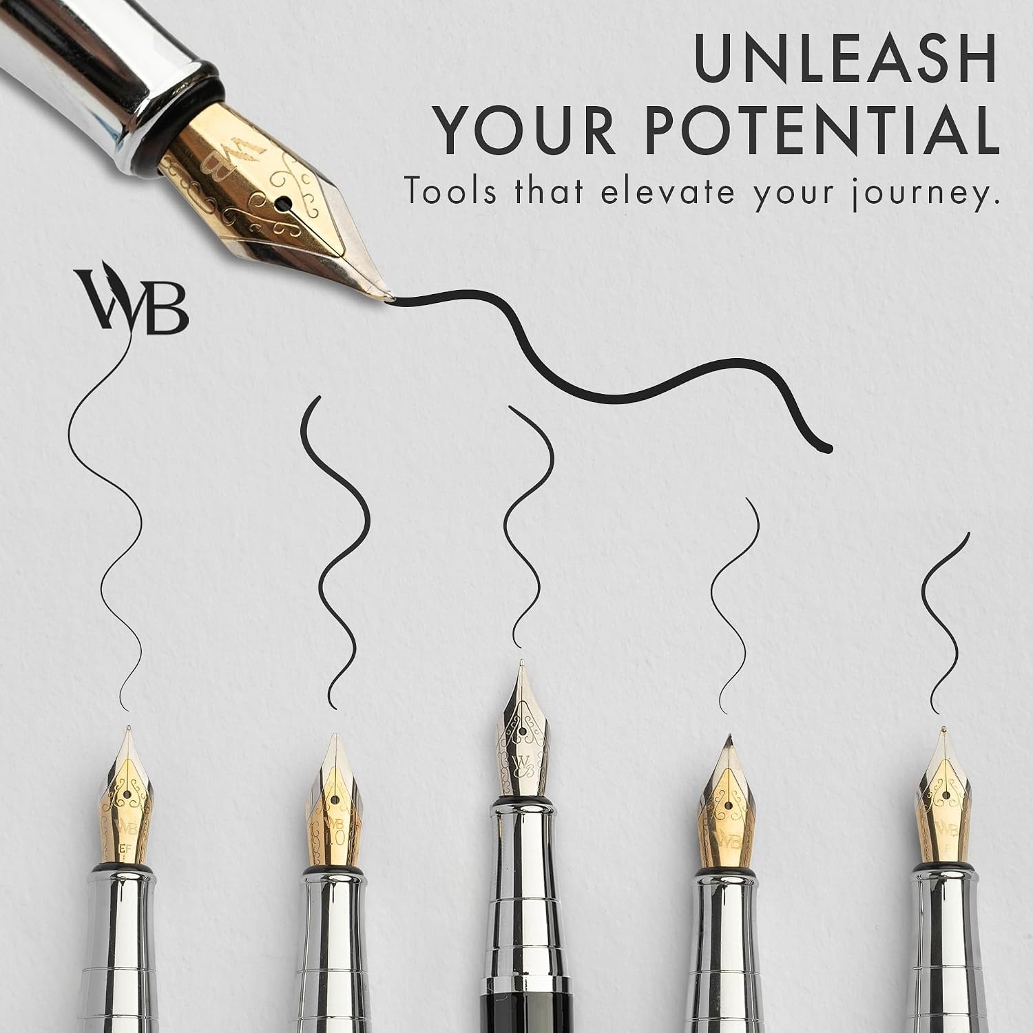 image:imageWordsworth amp Black Fountain Pen Gift Set Includes Bottle 6 Cartridges Refill Converter 4 Replacement Nibs Premium Package Journaling Calligraphy Smooth Writing Pens Red ChromeBlue Chrome
