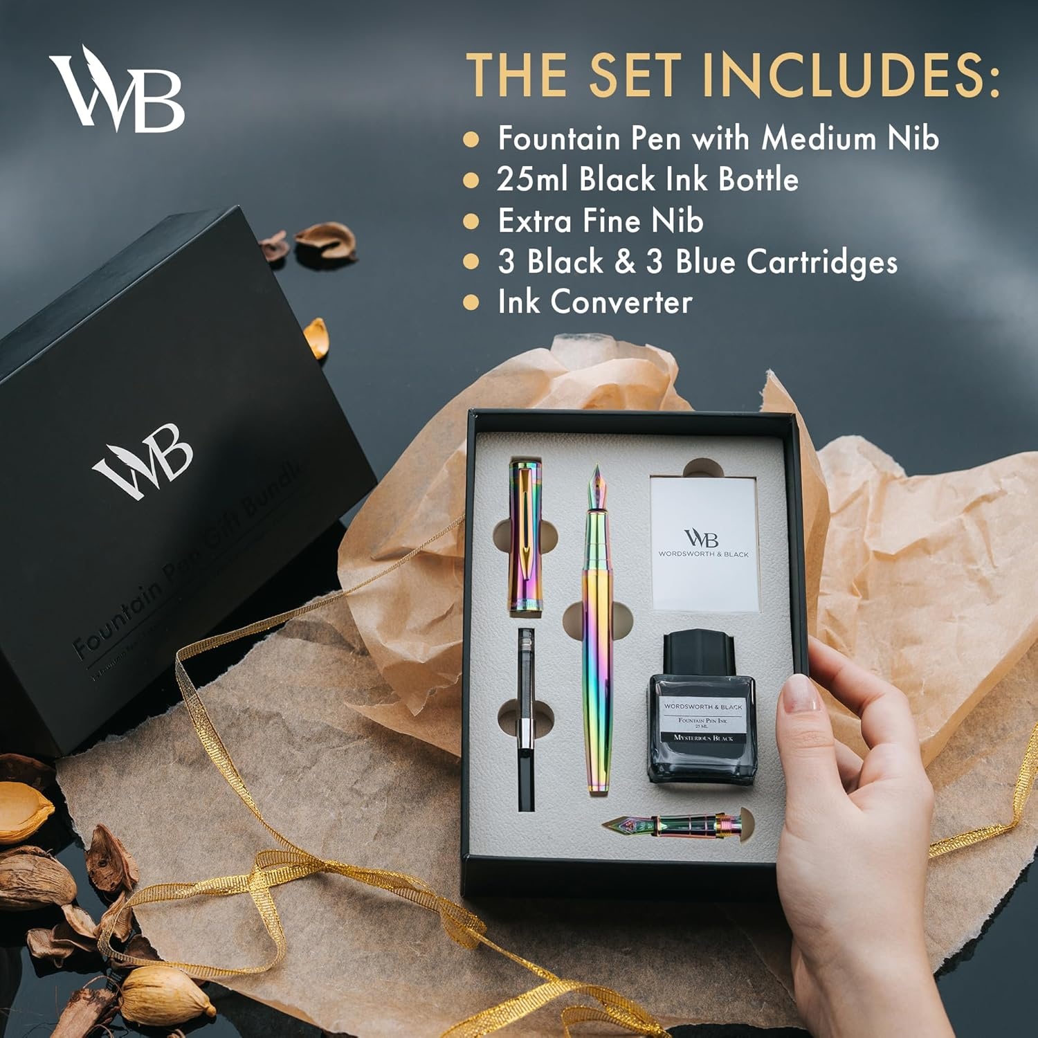 image:imageWordsworth amp Black Fountain Pen Set18K Gilded Medium and Extra Fine Nib25ML Black Ink Bottle6 Ink CartridgesRefill ConverterGift BoxSmooth Writing Pen Silver ChromeGift Set for Men and WomenRainbow