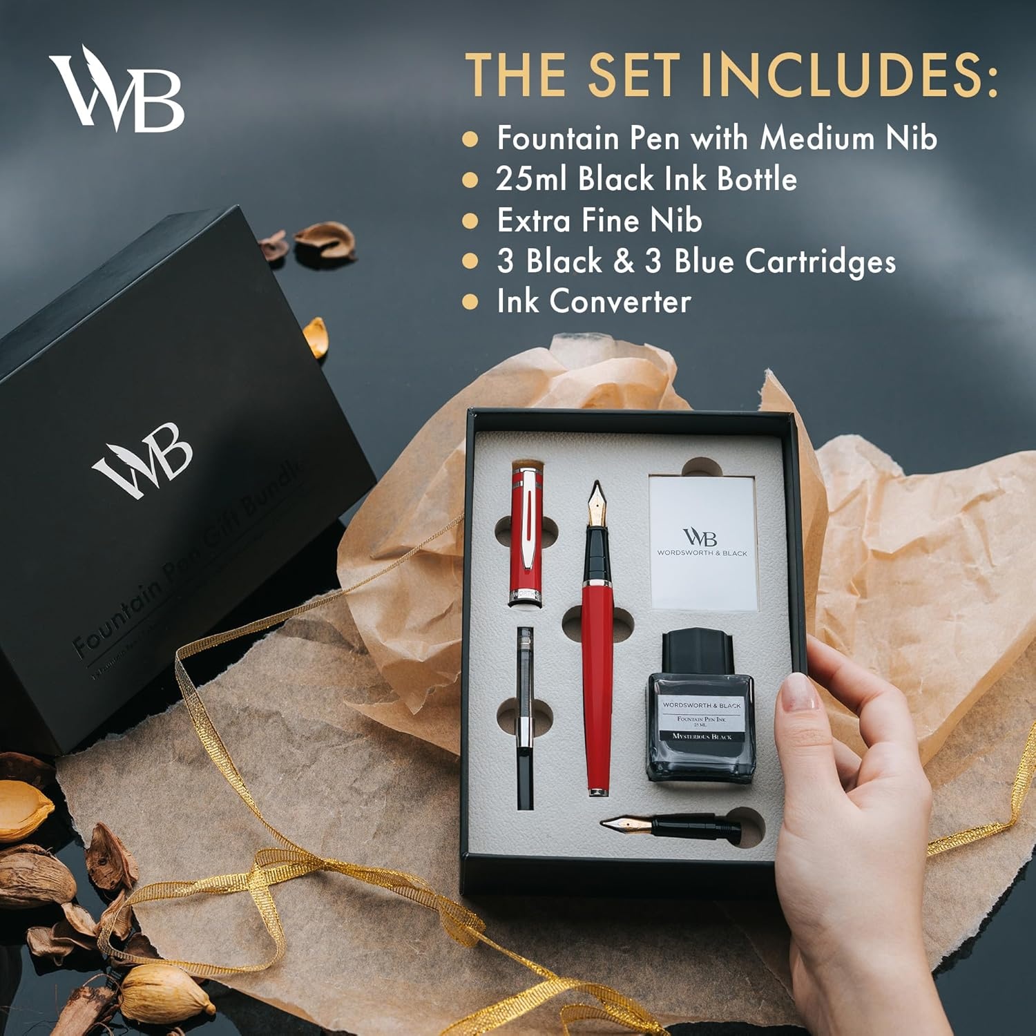 image:imageWordsworth amp Black Fountain Pen Set18K Gilded Medium and Extra Fine Nib25ML Black Ink Bottle6 Ink CartridgesRefill ConverterGift BoxSmooth Writing Pen Silver ChromeGift Set for Men and WomenRed Chrome