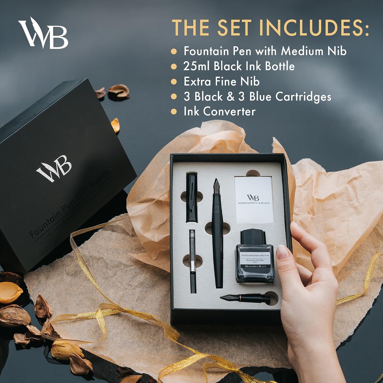 image:imageWordsworth amp Black Fountain Pen Set18K Gilded Medium and Extra Fine Nib25ML Black Ink Bottle6 Ink CartridgesRefill ConverterGift BoxSmooth Writing Pen Silver ChromeGift Set for Men and WomenAll Black