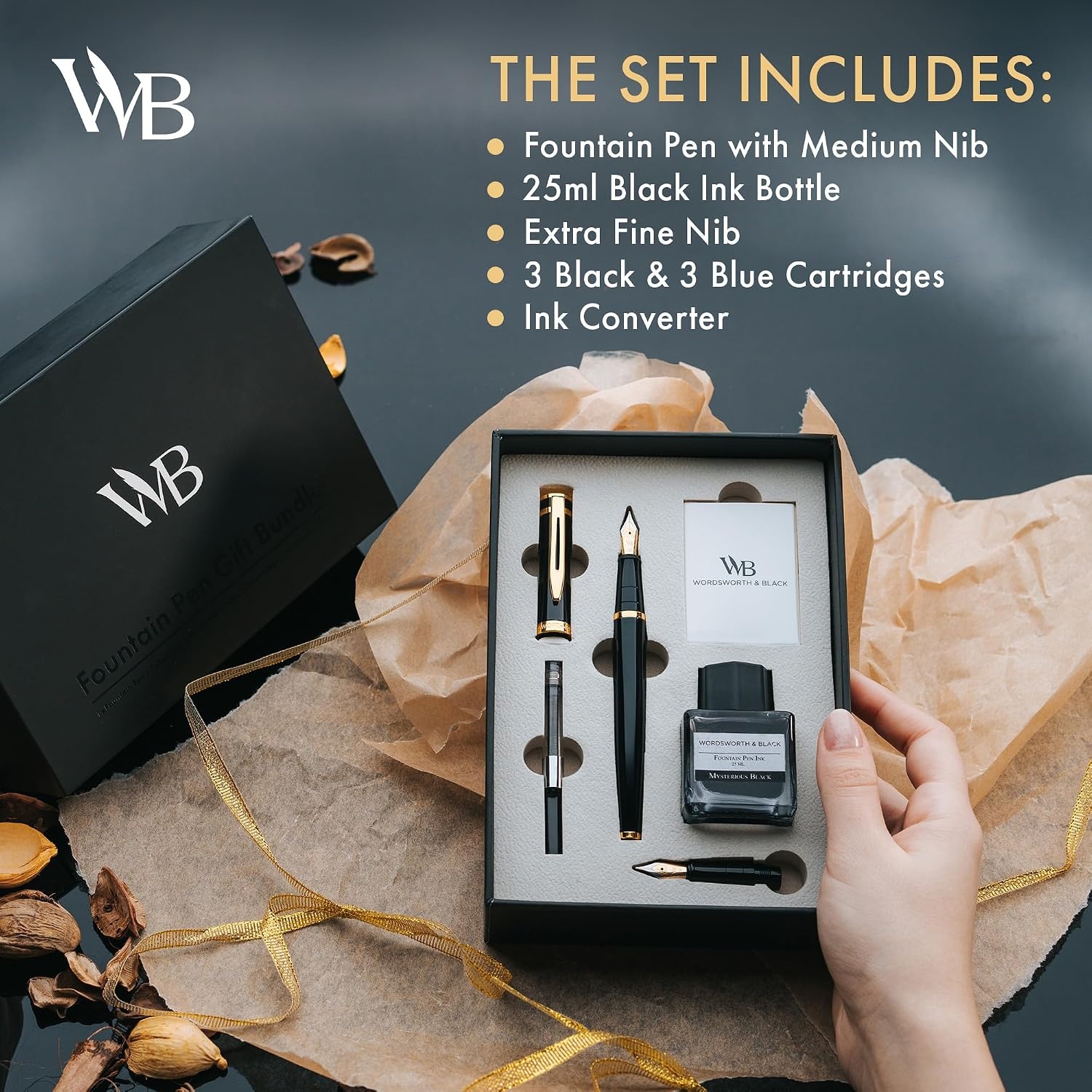 image:imageWordsworth amp Black Fountain Pen Set18K Gilded Medium and Extra Fine Nib25ML Black Ink Bottle6 Ink CartridgesRefill ConverterGift BoxSmooth Writing Pen Silver ChromeGift Set for Men and WomenBlack Gold