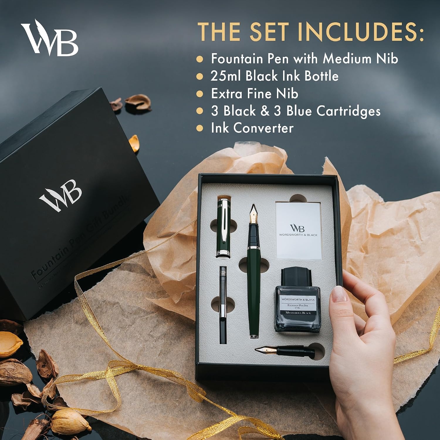 image:imageWordsworth amp Black Fountain Pen Set18K Gilded Medium and Extra Fine Nib25ML Black Ink Bottle6 Ink CartridgesRefill ConverterGift BoxSmooth Writing Pen Silver ChromeGift Set for Men and WomenGreen Chrome